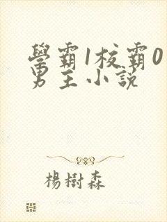 学霸1校霸0双男主小说