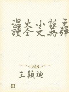 温火小说免费阅读全文无弹窗