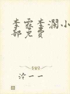 李霖李澜小说全部免费