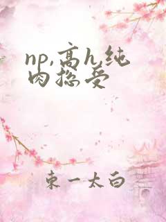 np,高h,纯肉总受