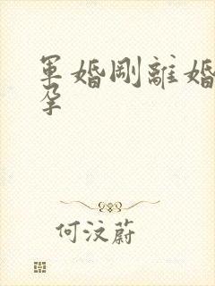 军婚刚离婚就怀孕