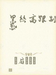 黑丝高跟制服诱惑