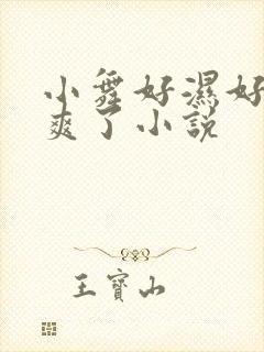 小舞好湿好紧太爽了小说