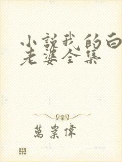 小说我的白富美老婆全集