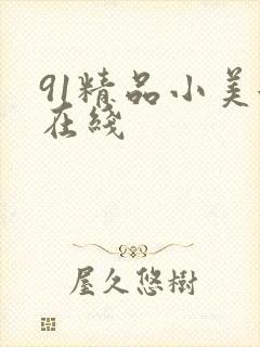 91精品小美女在线
