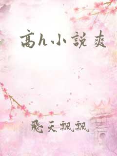 高h小说爽
