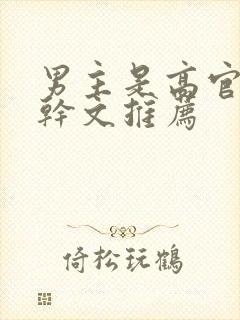 男主是高官的高干文推荐