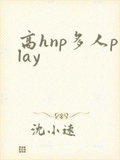 高hnp多人play