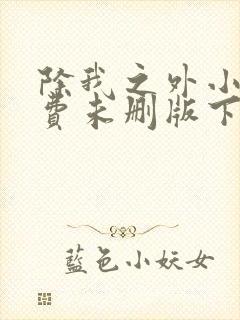 除我之外小说免费未删版下载