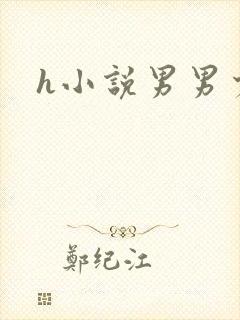 h小说男男少爷