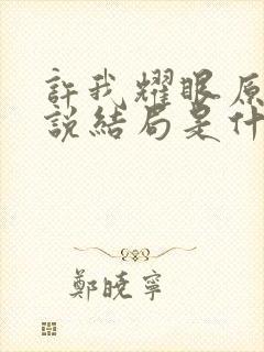 许我耀眼原著小说结局是什么