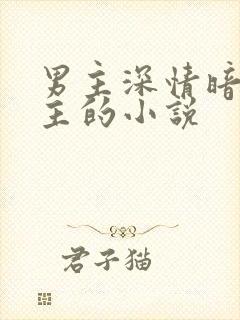 男主深情暗恋女主的小说