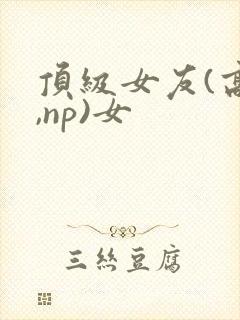 顶级女友(高h,np)女