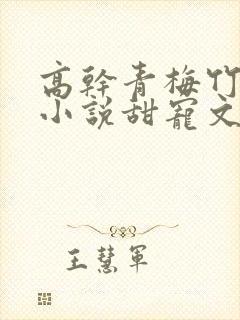 高干青梅竹马的小说甜宠文