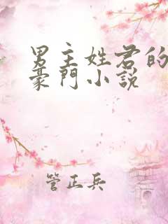 男主姓君的现代豪门小说