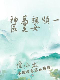 神马视频一区二区美女