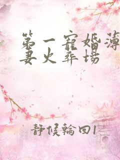 第一宠婚薄爷追妻火葬场