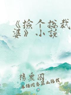 《捡个总裁做老婆》小说