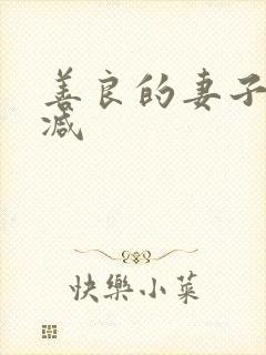 善良的妻子无删减