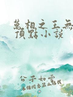 万相之王无弹窗 顶点小说