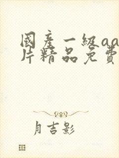 国产一级aaa片精品免费观看