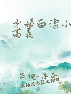 少妇白洁小说 高义