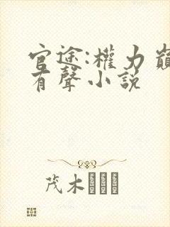 官途:权力巅峰有声小说