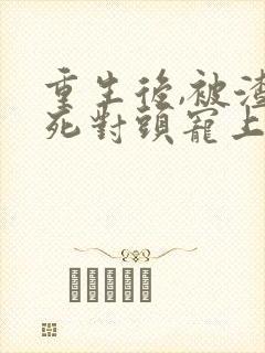 重生后,被渣男死对头宠上天