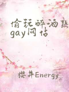 偷玩醉酒熟睡男gay网站