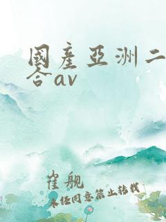 国产亚洲二区综合av