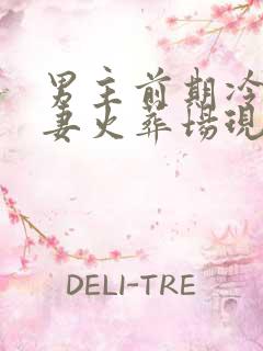 男主前期冷淡追妻火葬场现言