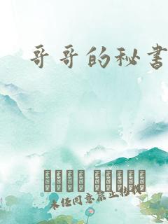 哥哥的秘书小说