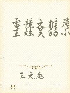 电竞文推荐双男主姓吴的小说