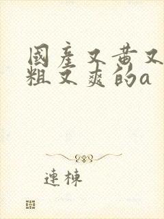 国产又黄又猛又粗又爽的a