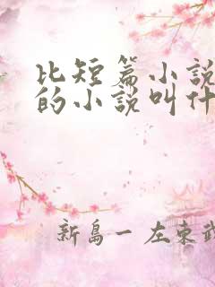 比短篇小说还短的小说叫什么