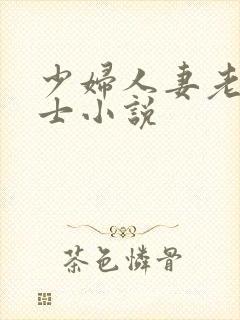 少妇人妻老师护士小说