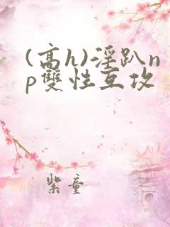 (高h)淫趴np双性互攻