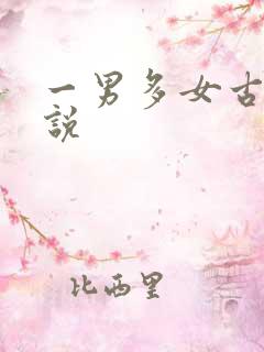 一男多女古言小说