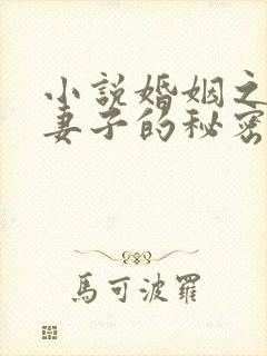 小说婚姻之殇:妻子的秘密免费阅读