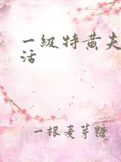 一级特黄夫妻生活