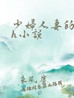 少妇人妻的欲望h小说