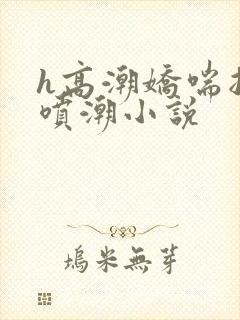 h高潮娇喘抽搐喷潮小说