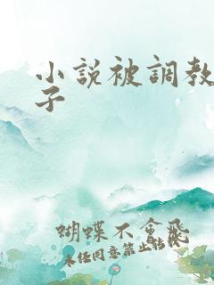 小说被调教的妻子