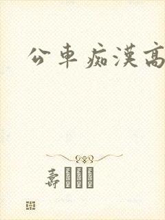 公车痴汉高h