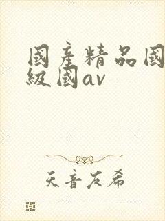 国产精品国产三级国av