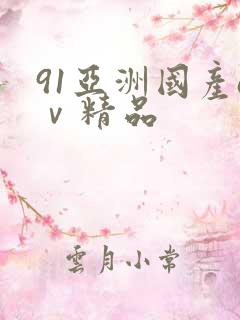 91亚洲国产aⅴ精品
