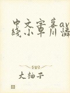 中文字幕av在线小早川怜子