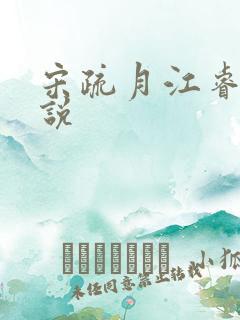 宋疏月江睿曜小说