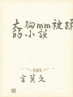 大胸mm被蹂躏的小说