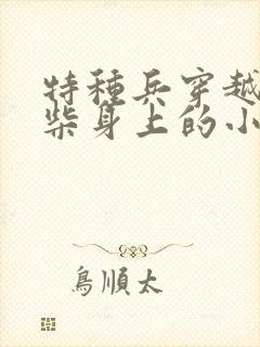 特种兵穿越到废柴身上的小说